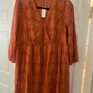 Anthropologie Dress. NWT!